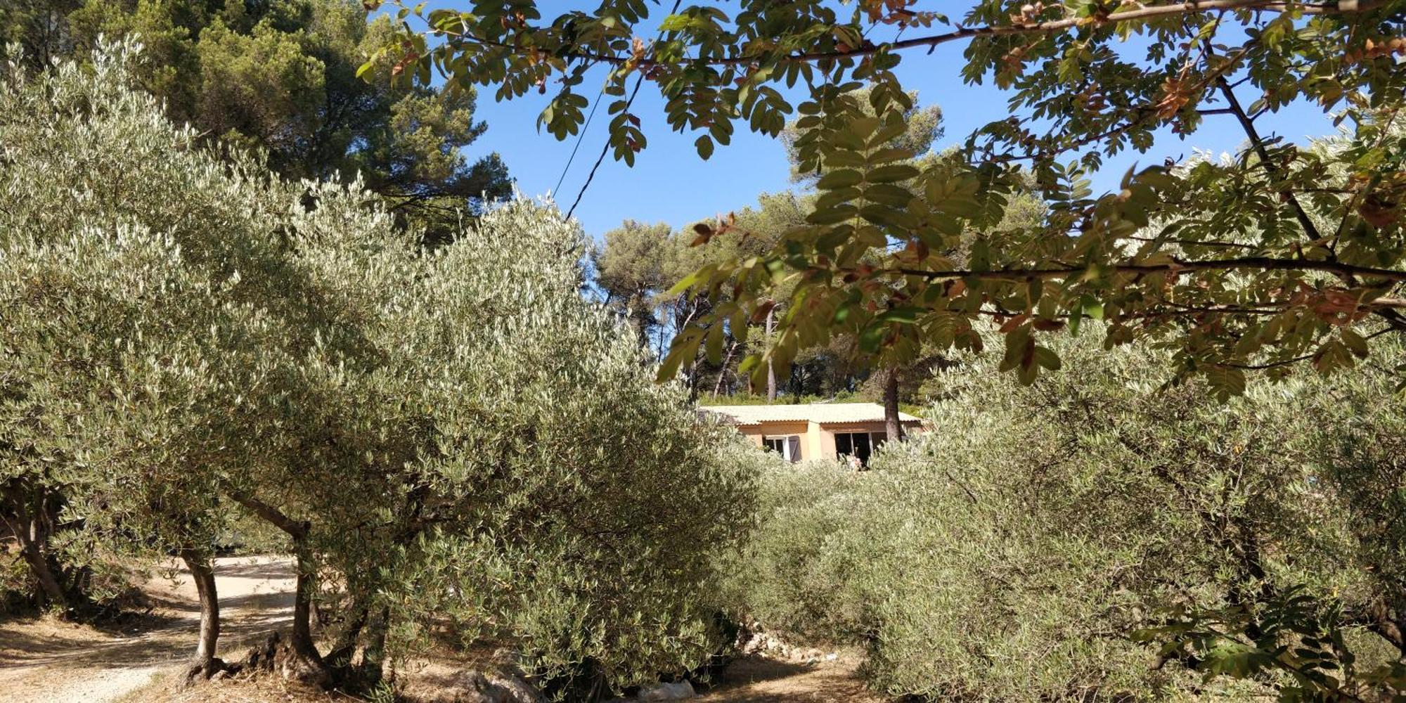 Villa Cigalons En Pleine Pinede Avec Piscine Chauffee De Mai A Septembre Auriol Екстериор снимка