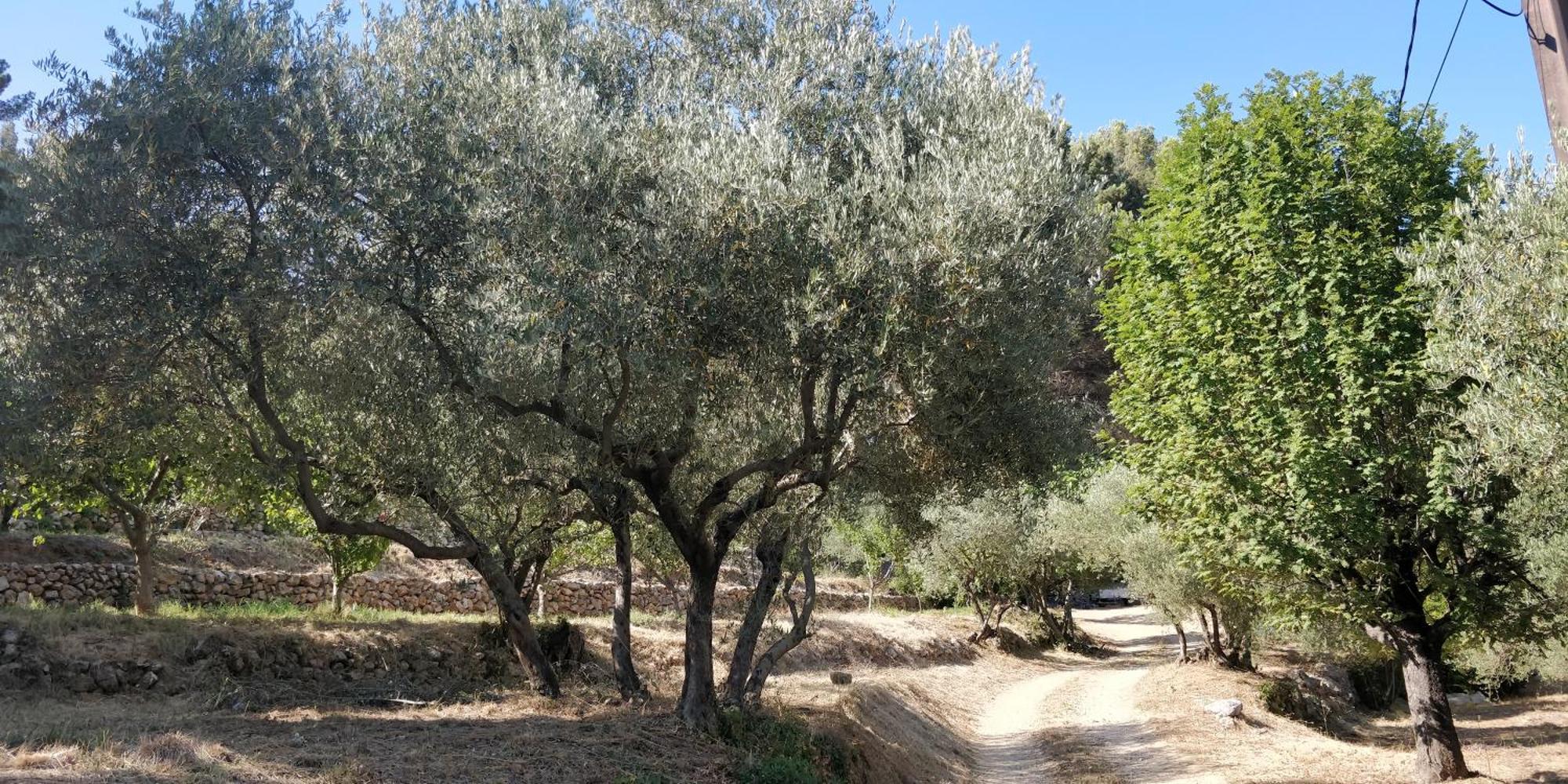 Villa Cigalons En Pleine Pinede Avec Piscine Chauffee De Mai A Septembre Auriol Екстериор снимка