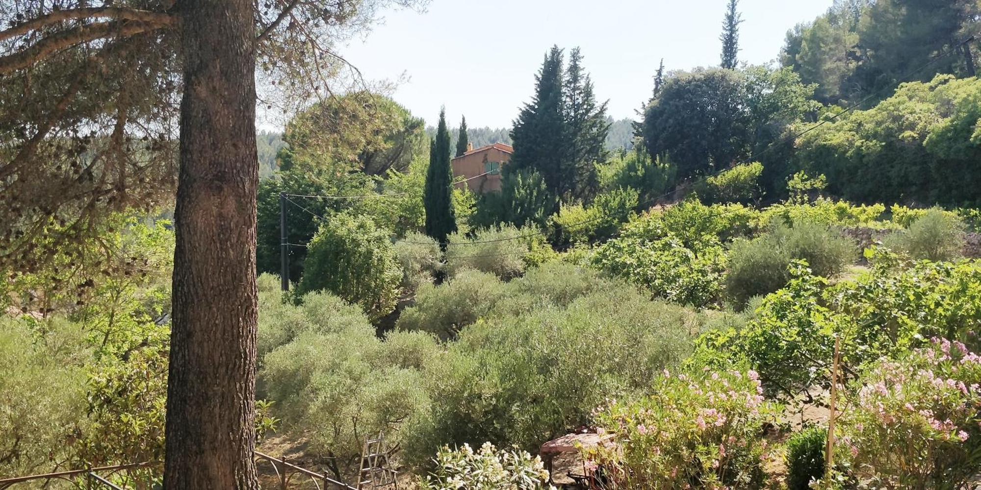 Villa Cigalons En Pleine Pinede Avec Piscine Chauffee De Mai A Septembre Auriol Екстериор снимка