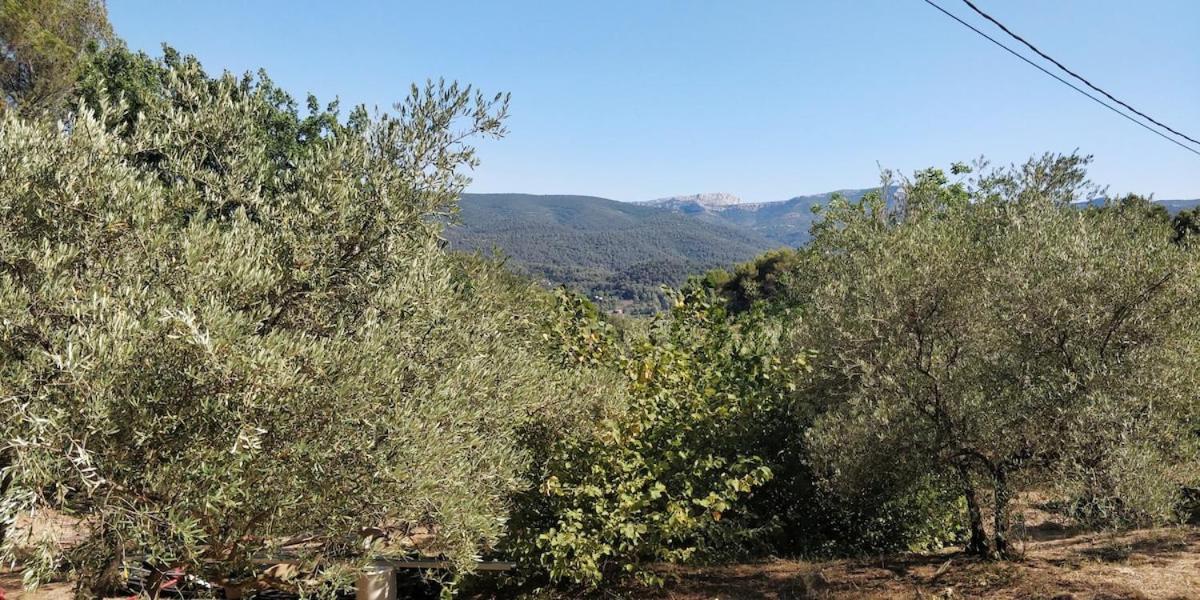 Villa Cigalons En Pleine Pinede Avec Piscine Chauffee De Mai A Septembre Auriol Екстериор снимка
